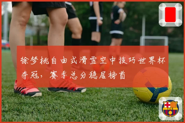 徐梦桃自由式滑雪空中技巧世界杯夺冠,赛季总分稳居榜首